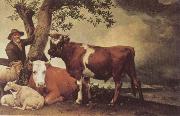 POTTER, Paulus Young Bull oil painting picture wholesale